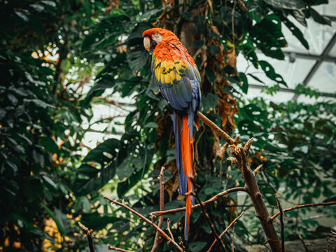 Biodome de Montréal